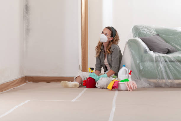 Reliable Mold Removal contractor in Reedville, VA by WQB Mold Removal